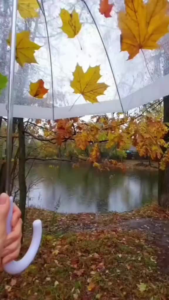 @Ази