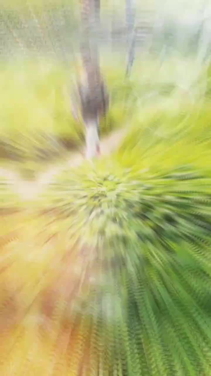 @🇬🇧 K-Î-L-L-È-R //