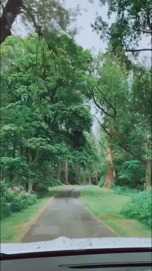 @user3453283963537