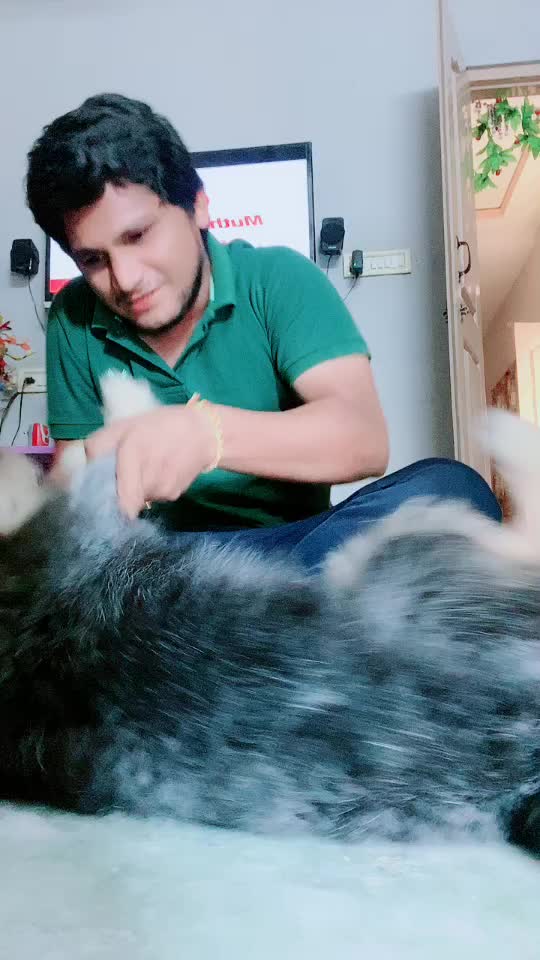 @sai