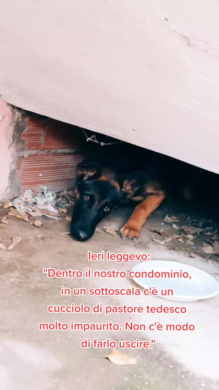@Anna Ymìr