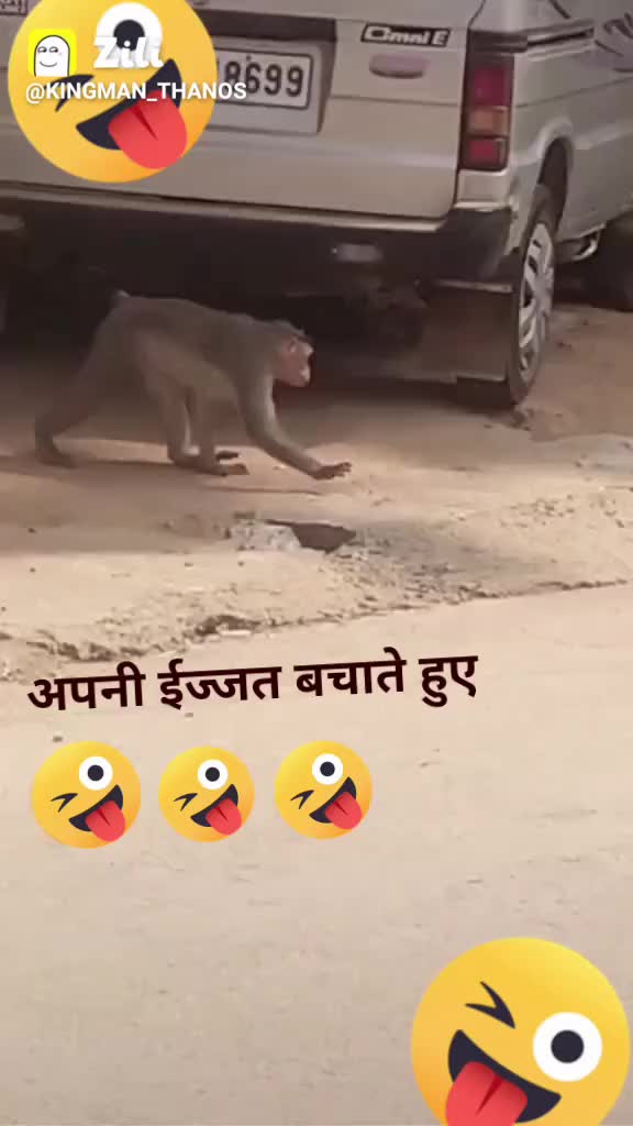 @bipan Kumar 66