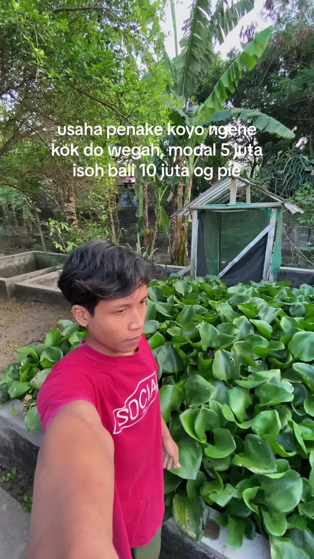 @zal
