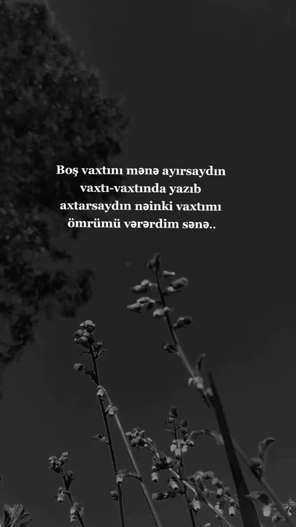 @qasimovaa