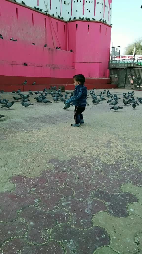 @Bhgaraj Darji Bisu