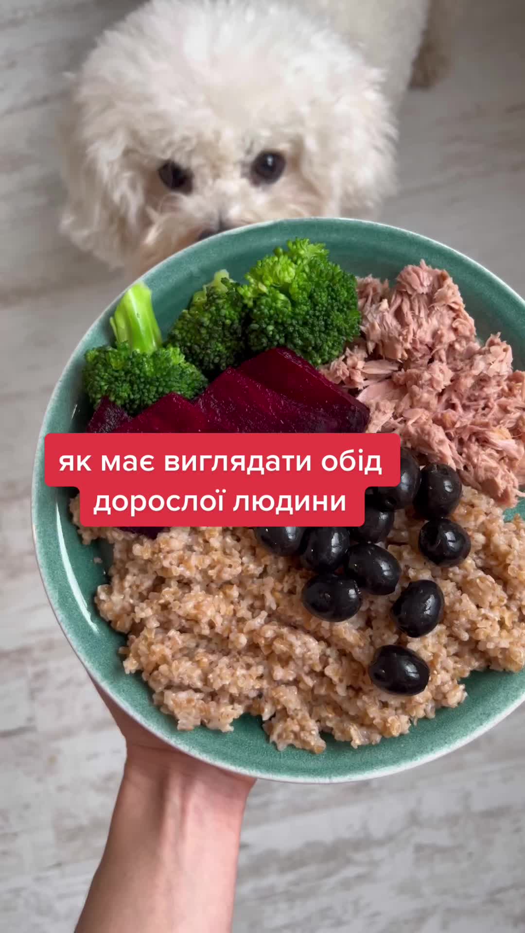 @Аліна Сапіга