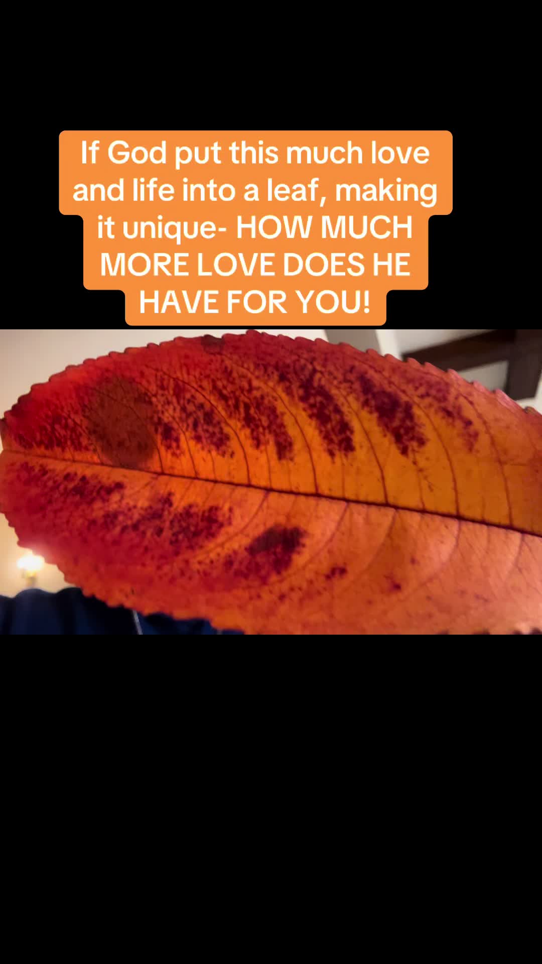@ian1978