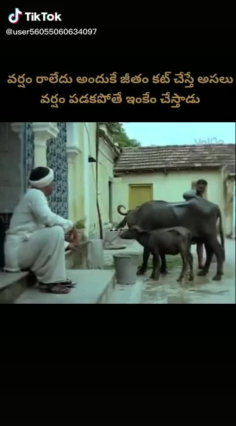 @vijayanand