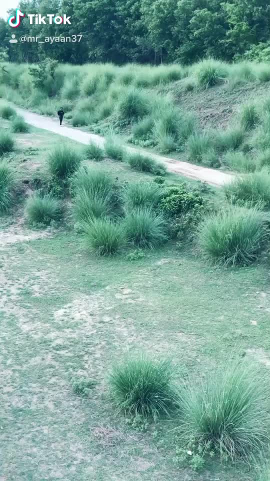 @Ayaankhan37