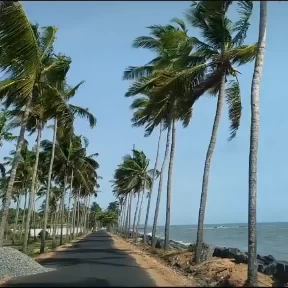 @Neelima Mohan