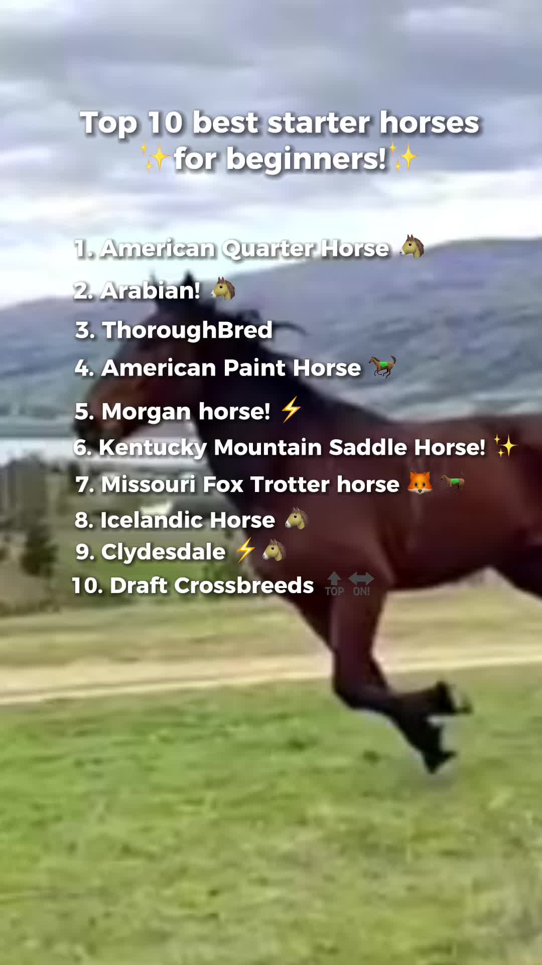 @🐴horses🐴