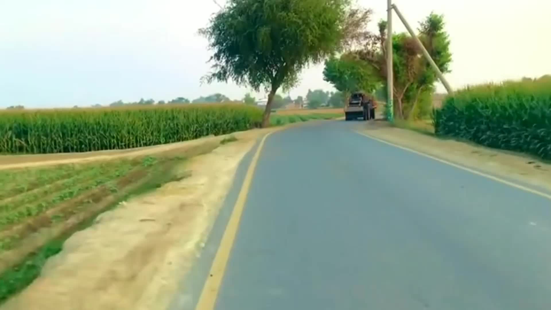 @Kausar Drishak 🚓 🚨