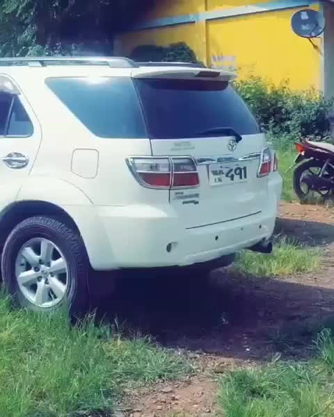 @sachu 491 👑👑