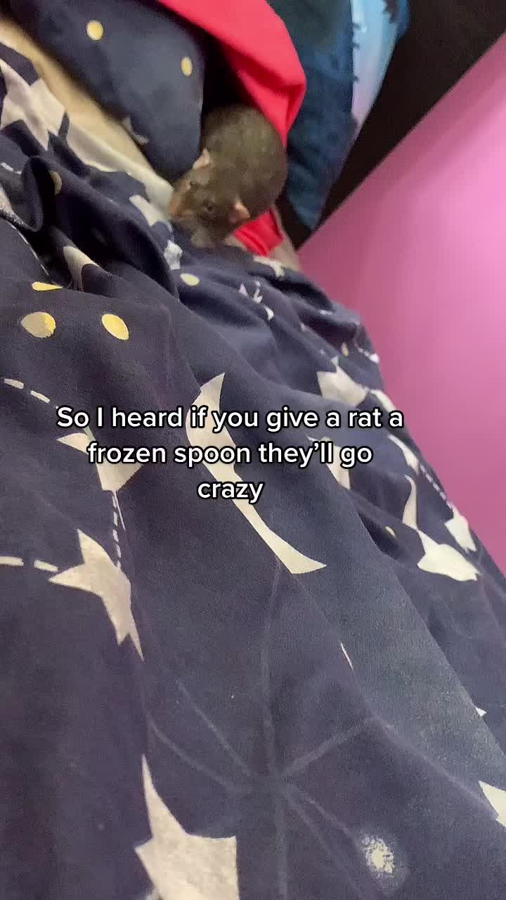 @Missssstaaaaa