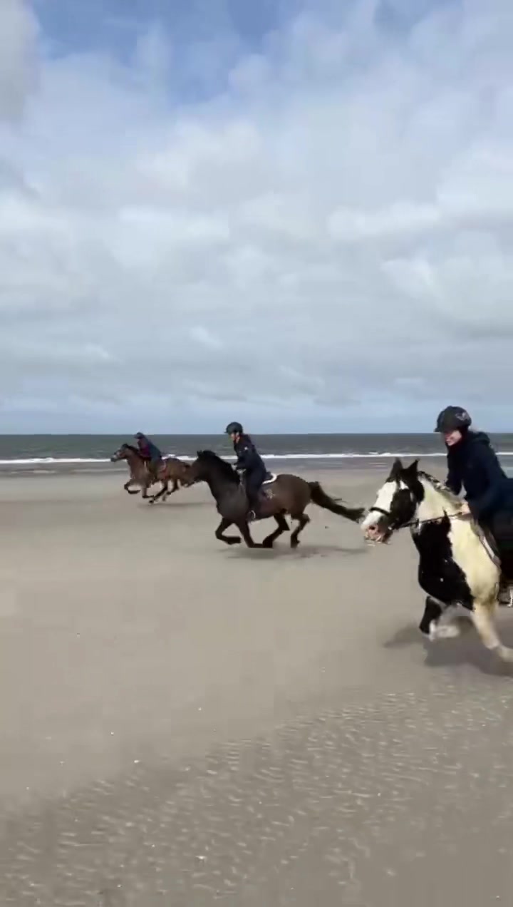 @reiterhof.andresen.amrum