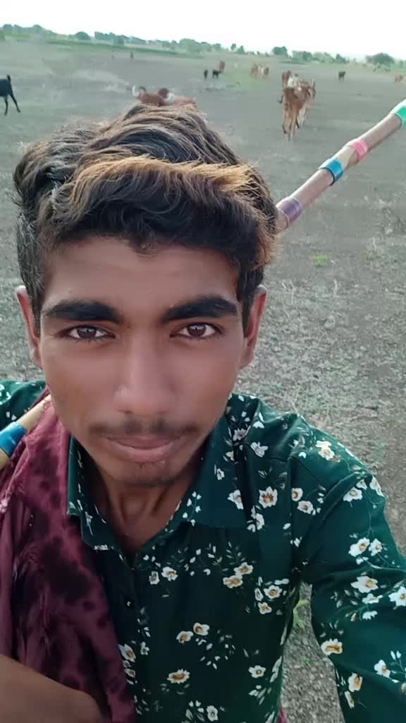 @mitlo__bharwad_5391