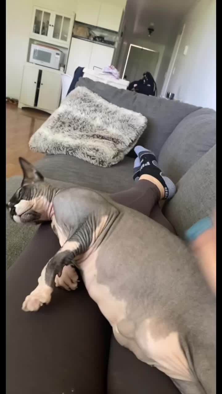 @KJonze