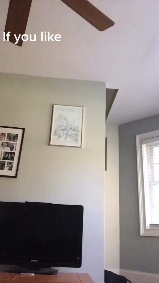 @corbear34