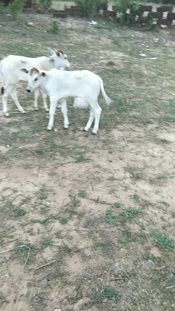 @Sukanta Nayak