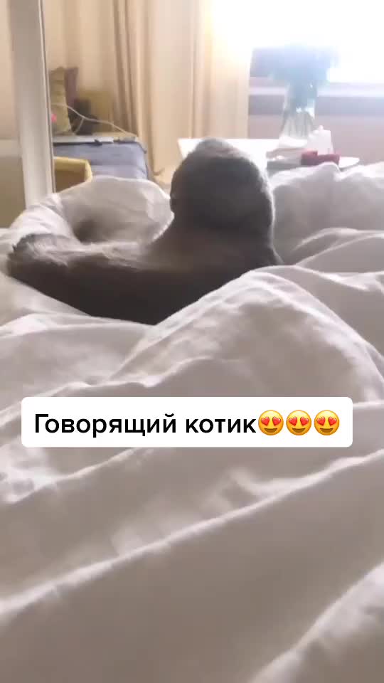 @Дарья Николаева