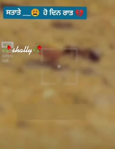 @❤NINJA❤