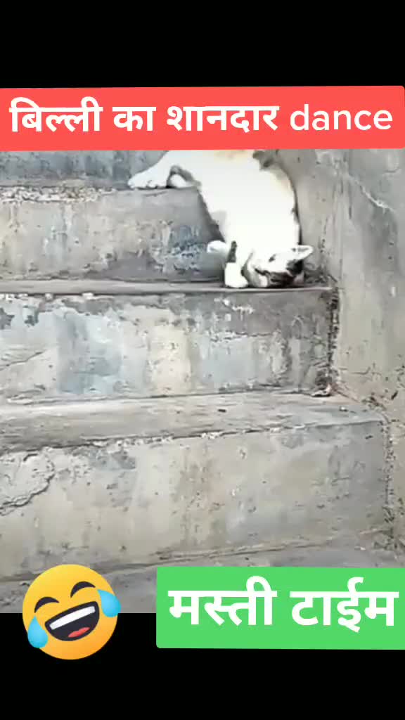 @शर्मा जी