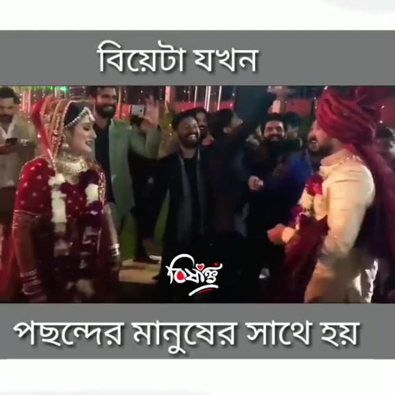 @Saiful Vai