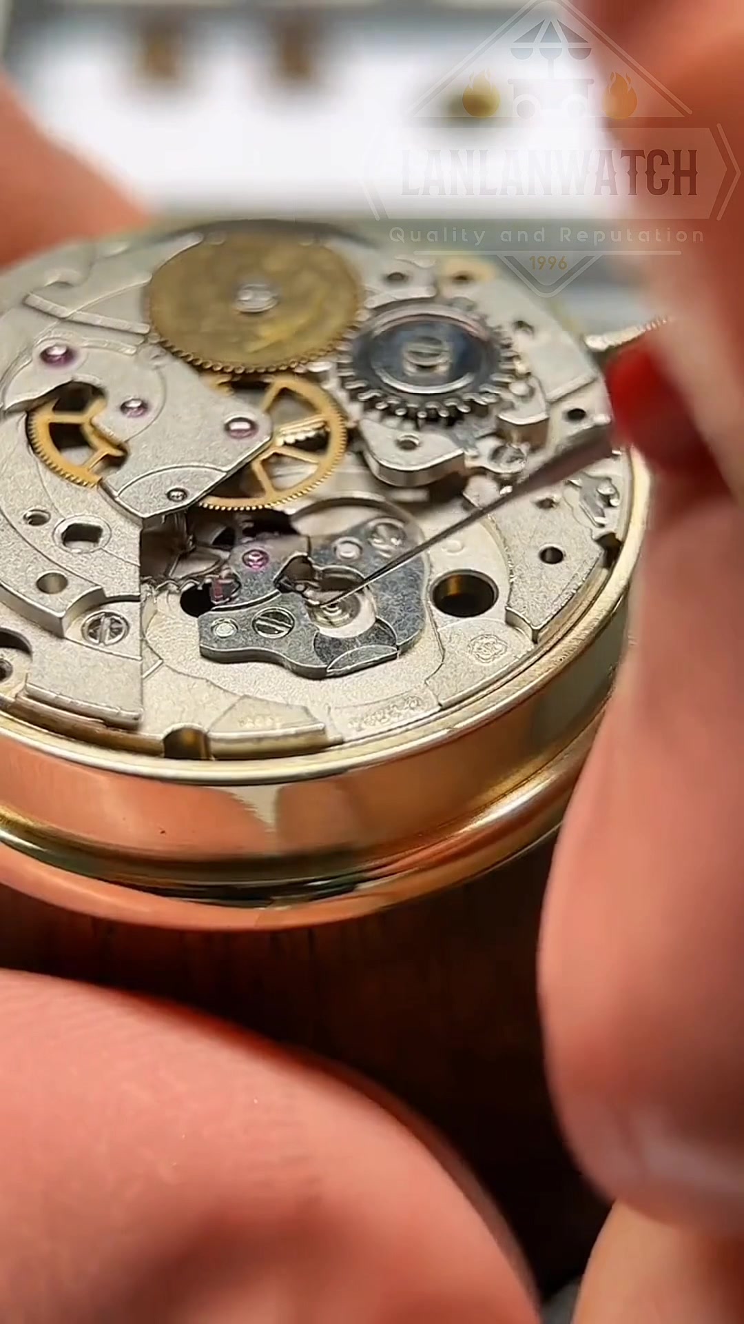 @LanLan-WATCH✅