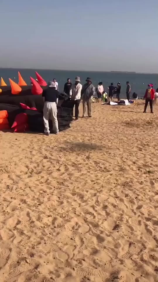 @🍑陶福进🇻🇳