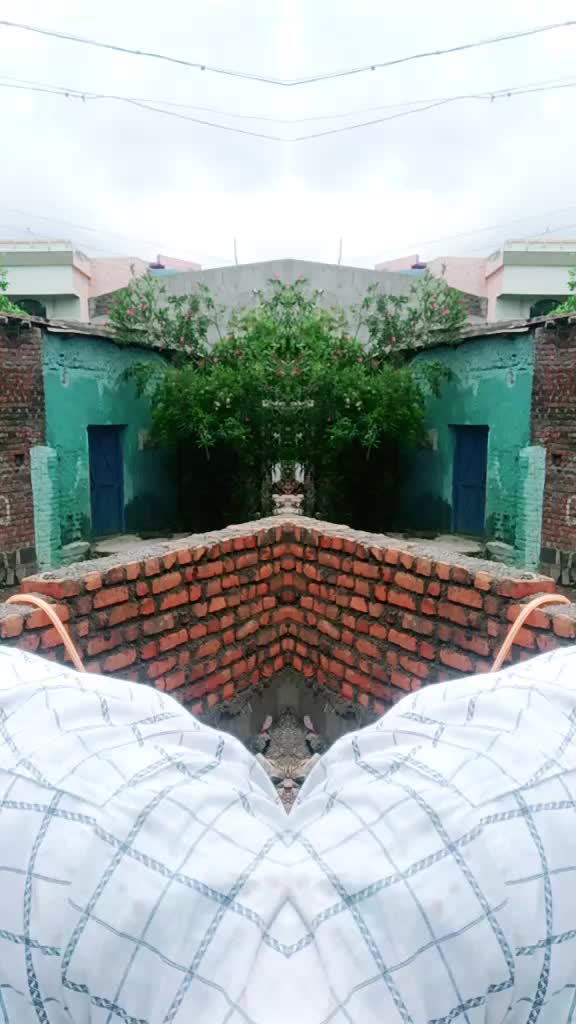 @Rehan Shaikh