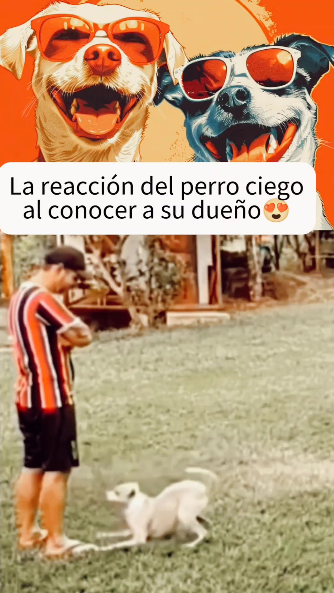 @AventurasAnimales