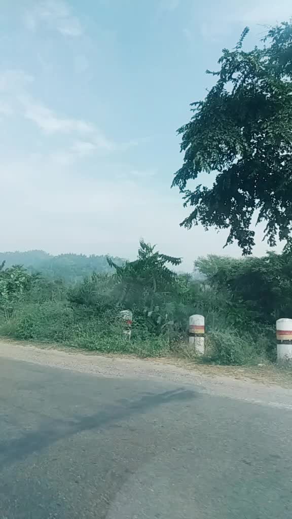 @@Dev