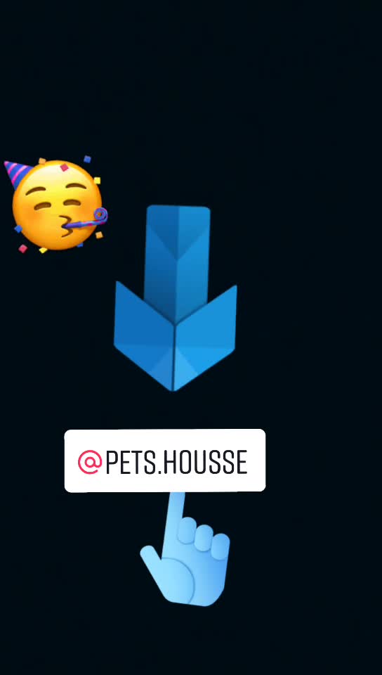 @котик Буба