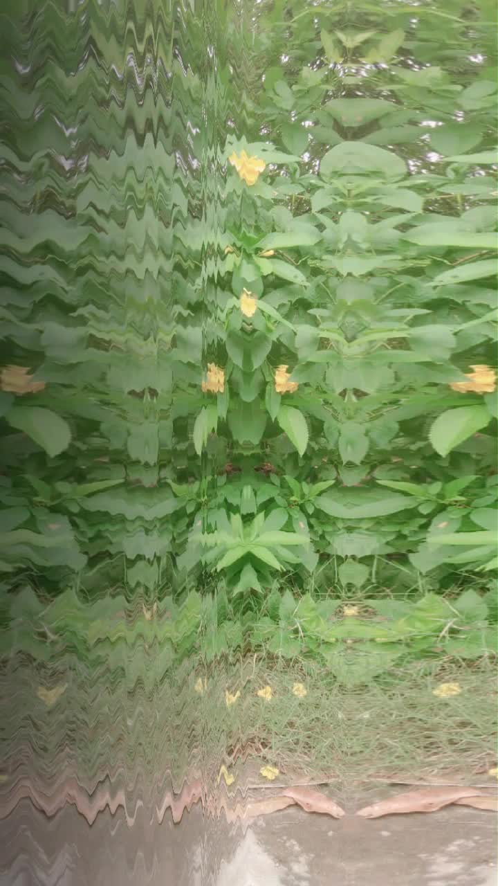 @💞💞Thiru chitra💞💞