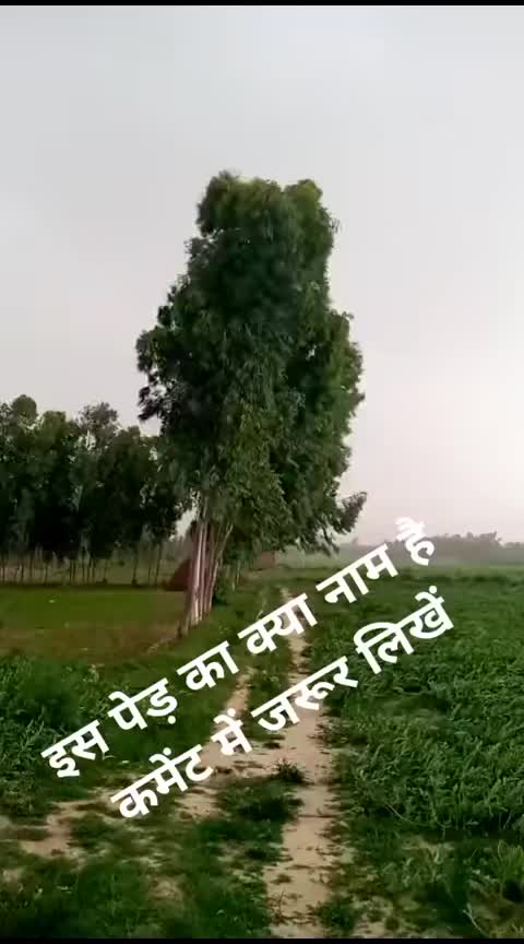@⚡GEHLOT.TEAM(R.J.24)