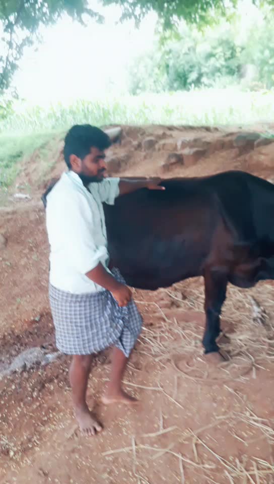 @Arichandran K647