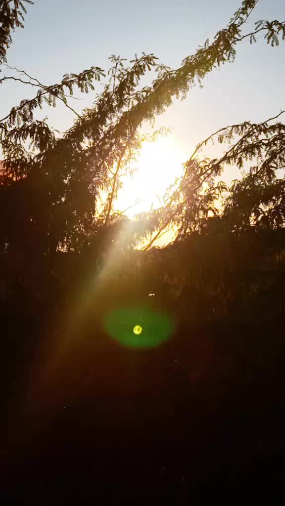 @Prince_karan๐๐