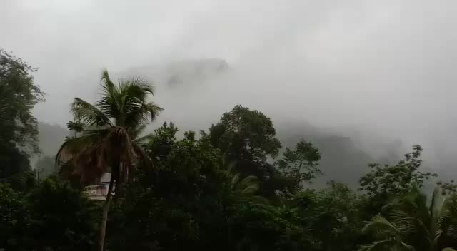@Manu Kuttan