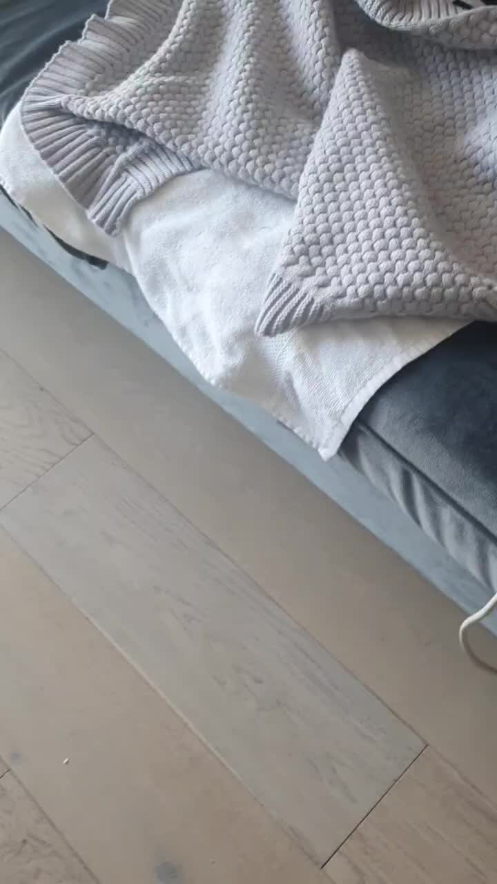 @Paco.the.Chihuahua