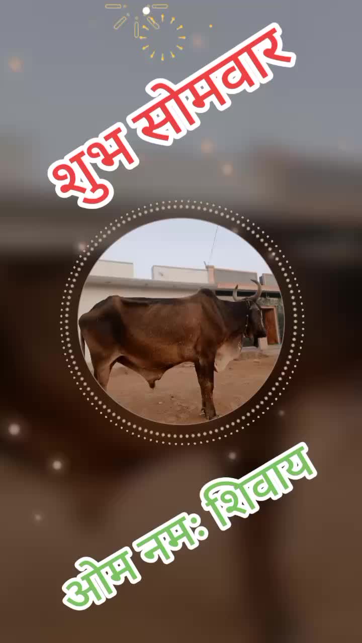@@Dineshchoudhary7503