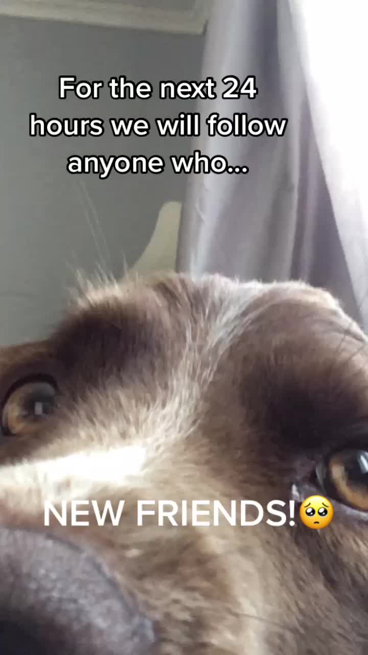 @🐶Molly🐶