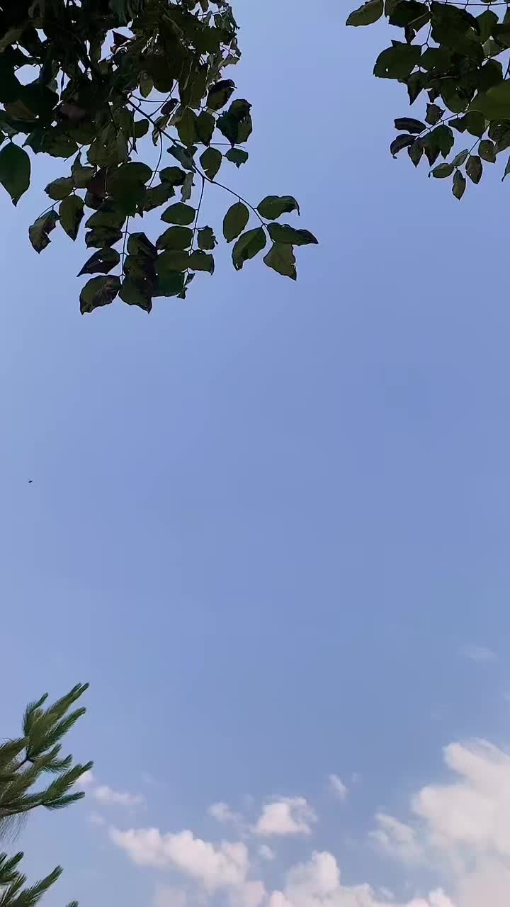 @🍁أس امہ 🌸