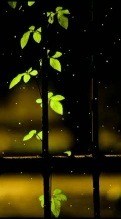 @ANIL KUMAR
