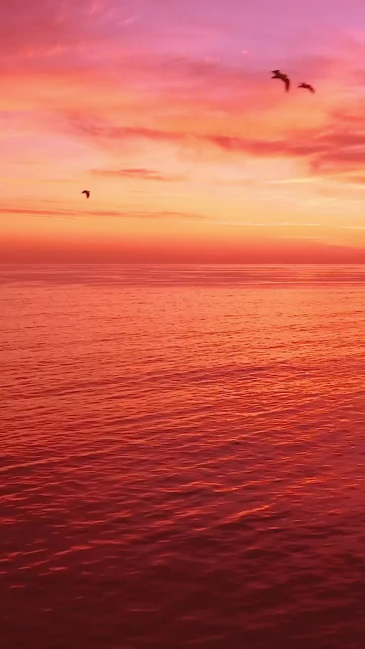 @♥️ 🇷 🇮 🇲 🇦 ❤️