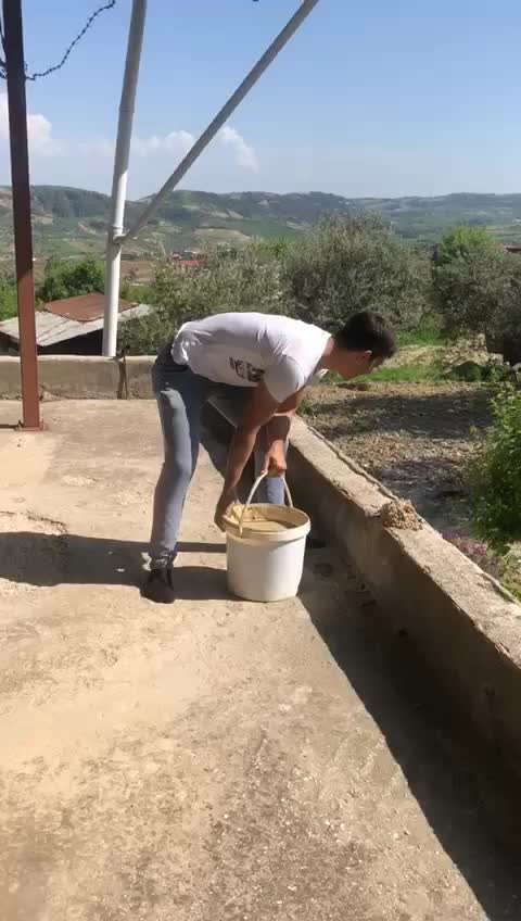 @Mehmet Kamil