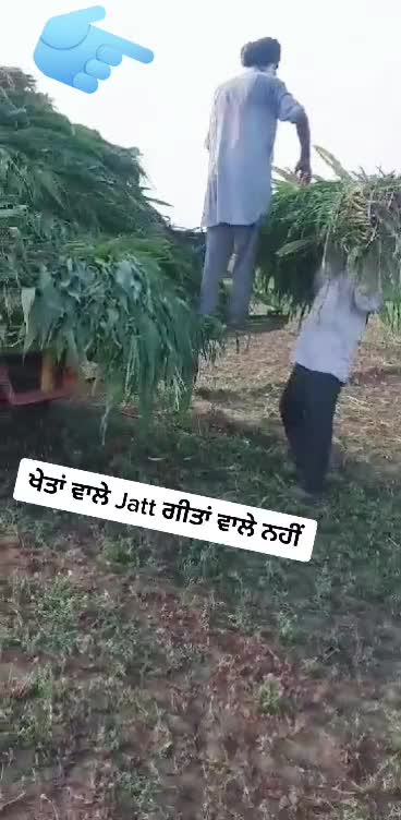 @Navjit Singh Otaal