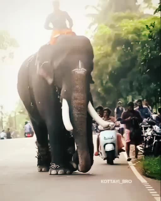 @Akash Kukku