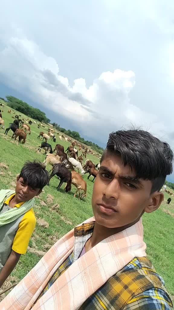 @rajutadichettu@gmail