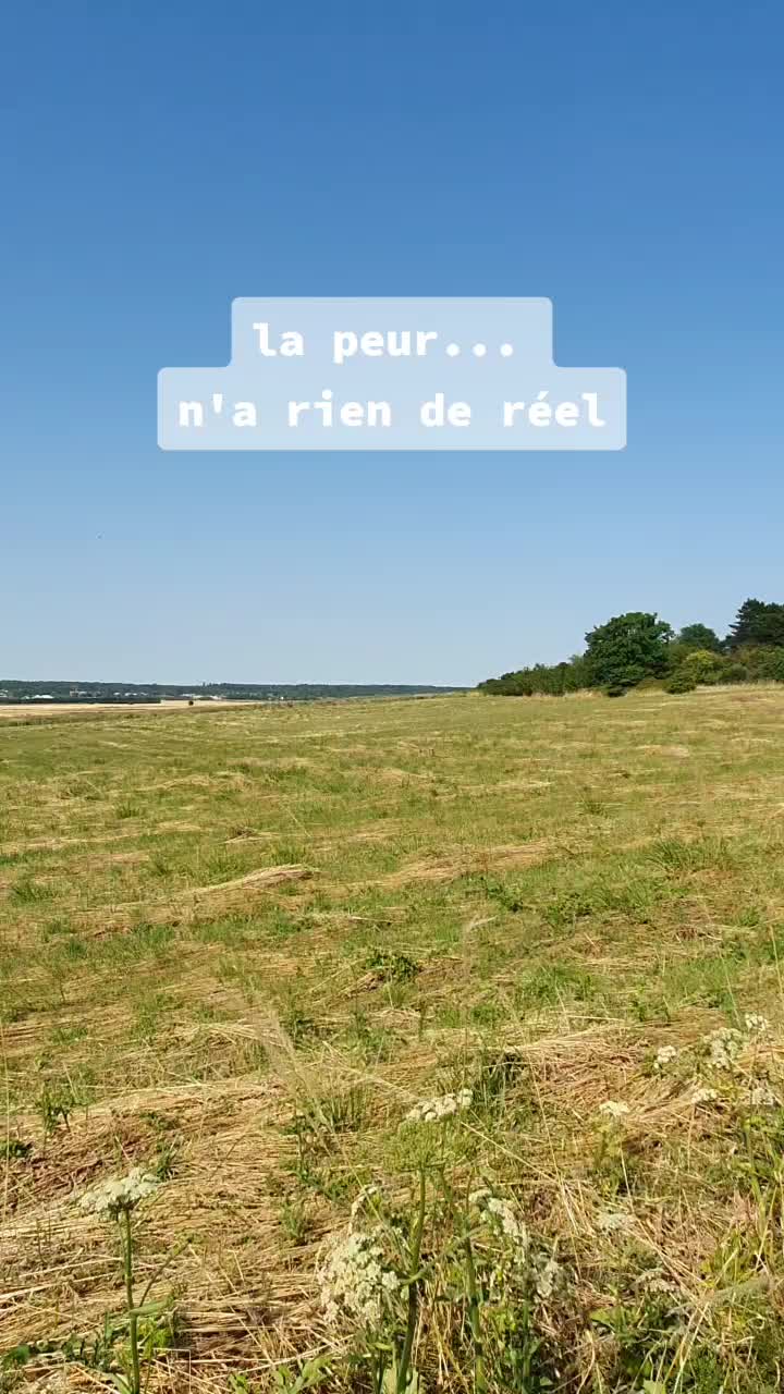 @Lafoliebienveillante
