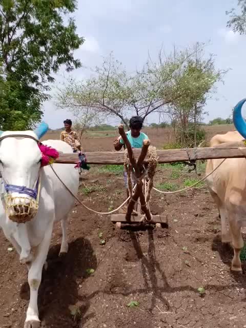 @beerappa